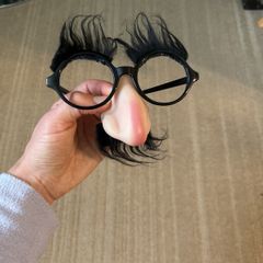 Halloween accessories- glasses and nose