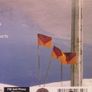 Yeah Yeah Yeahs - Show Your Bones CD Image 2