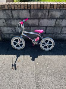 raleigh burner kids bike