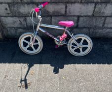raleigh burner kids bike