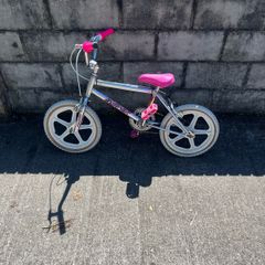 raleigh burner kids bike