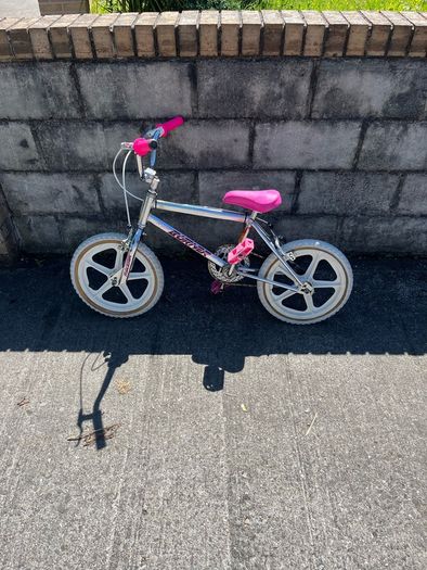 raleigh burner kids bike