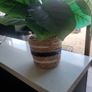 Faux Plant Image 4