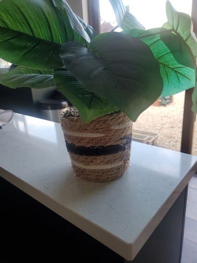 Faux Plant