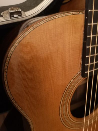 Fylde Alexander Custom