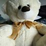 Cream Bear with Gold Bow - Medium sized Image 3