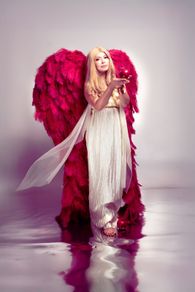 Luxury Ostrich Feather Wings