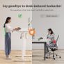 Electric Standing Desk, Adjustable Height Stand up Desk, 100x60 cm Image 5