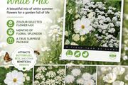 Over 100 different type of seeds at 1.00 euro per pack