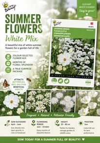 Over 100 different type of seeds at 1.00 euro per pack