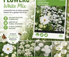 Over 100 different type of seeds at 1.00 euro per pack