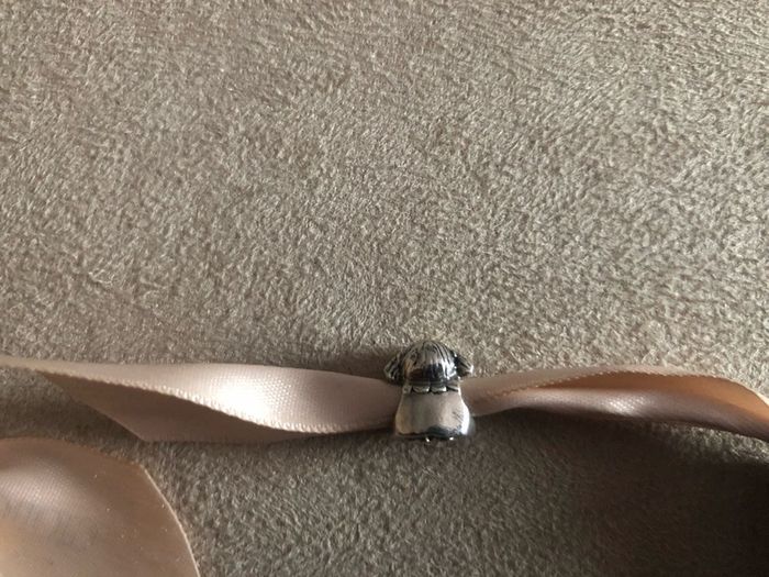 Genuine Pandora charm