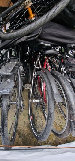 bikes for sale