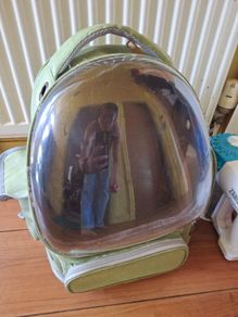 pet carrier