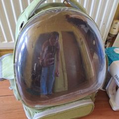 pet carrier