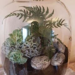 Forest in the jar 32x25 cm