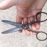 W. Whitney Vintage Forged Tailoring Shears Image 6