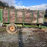Firewood Image 3