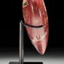 Polished Heart-Shaped Red Jasper Specimen - Natural Stone Image 8