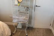 Bird cage for sale