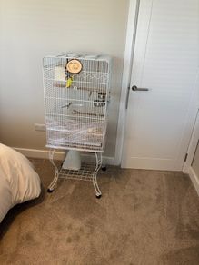 Bird cage for sale