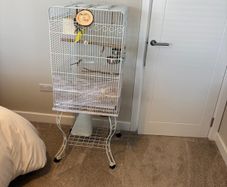 Bird cage for sale
