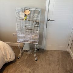 Bird cage for sale