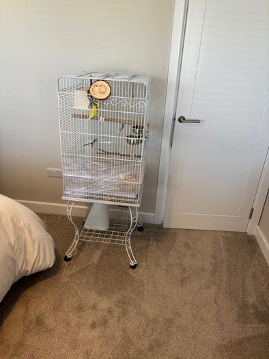 Bird cage for sale
