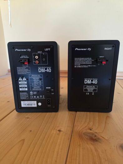Pioneer DM 40