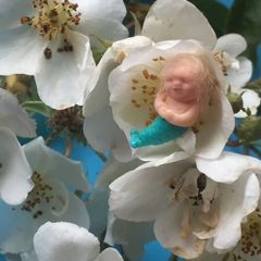 Miniature doll, collectible, unique, little mermaid , fairy
