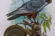 Falcon 1988 stamps &amp; coin cover Hungary