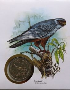 Falcon 1988 stamps & coin cover Hungary