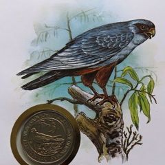 Falcon 1988 stamps & coin cover Hungary