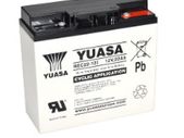 REC22-12i Golf & Mobility Battery