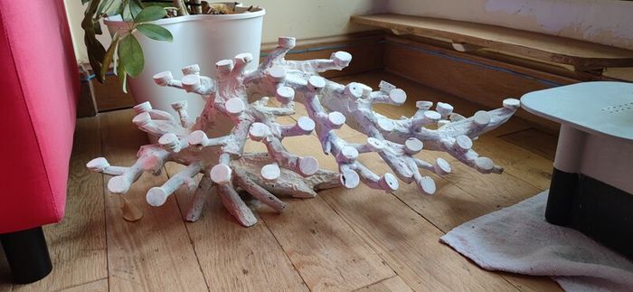 Dead Branching Natural Coral Rocks