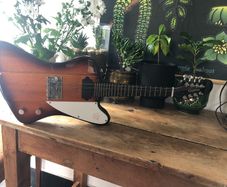 Rare Epiphone  VIII Mandobird ! (8 string mandolin)