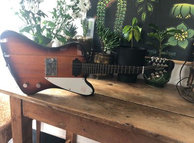 Rare Epiphone  VIII Mandobird ! (8 string mandolin)