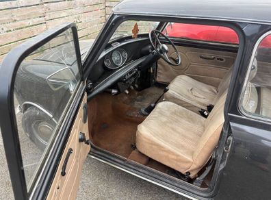 Mini 1000