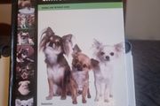 Chihuahua: Dog Breed Expert Series (Hardcover