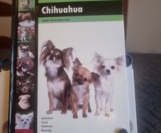 Chihuahua: Dog Breed Expert Series (Hardcover
