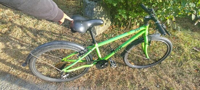 frog bike