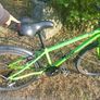frog bike Image 7