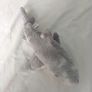 Shark soft toy Image 2