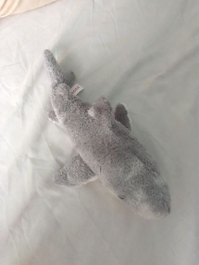 Shark soft toy