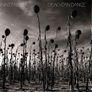 Dead Can Dance - ANASTASIS    {SE Deluxe Set} Image 7