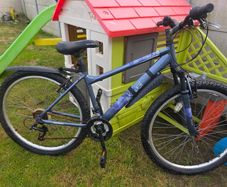 Free Bike