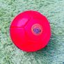 Mega Bloks Scooping Trolley and Phlat Ball FREE Image 2