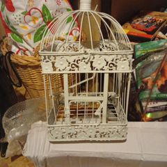bird cages