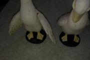 Set of 2 duck figurine