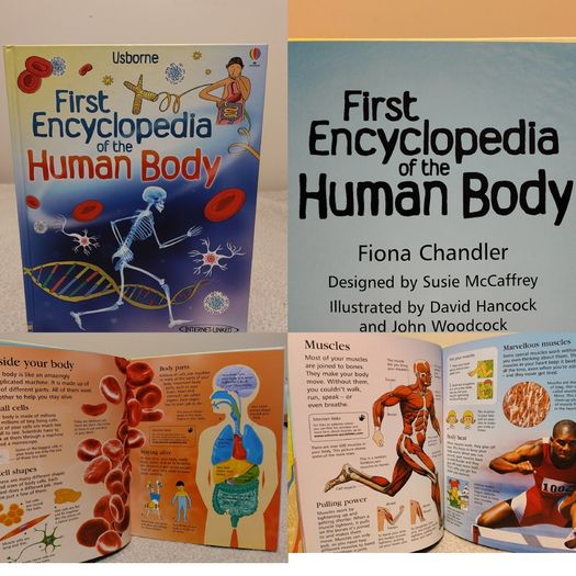 USBORNE First encyclopedia of the human body